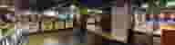 Party Venues