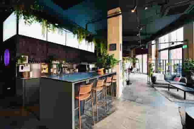 Colony Piccadilly