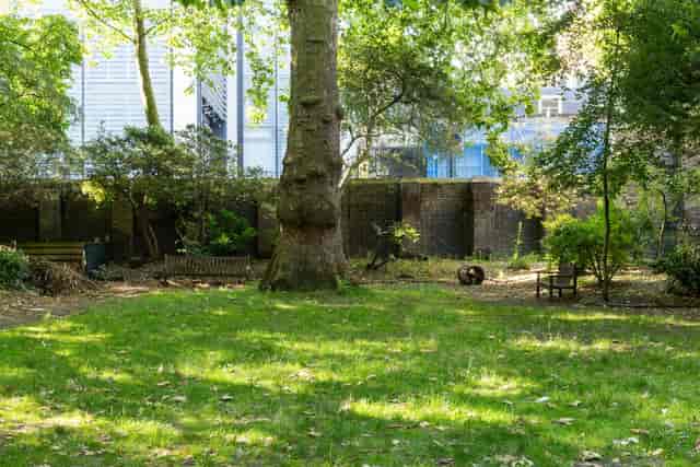 Sunken Gardens at University of London, lush greenery for team-building events.