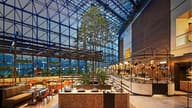 Christmas Party Venues