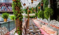 Summer Party Venues