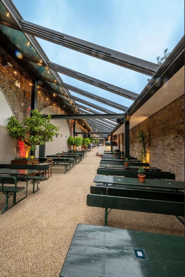 The Hawk's Nest