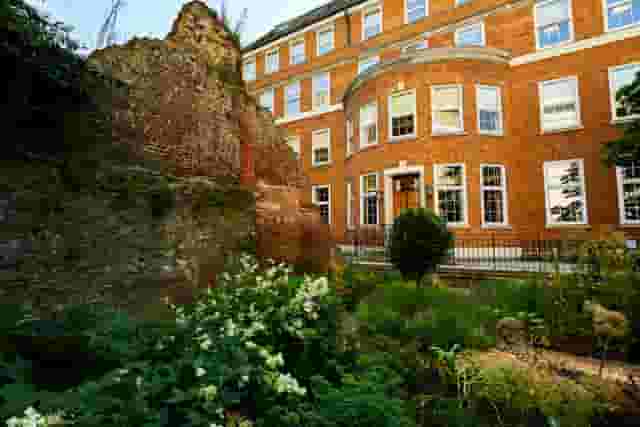 Terrace and Garden 