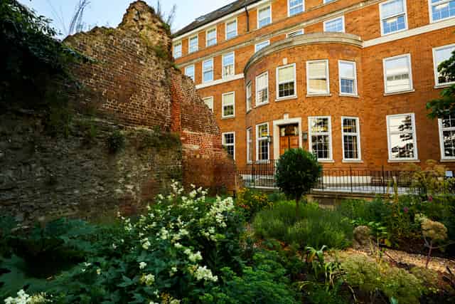 Terrace and Garden 