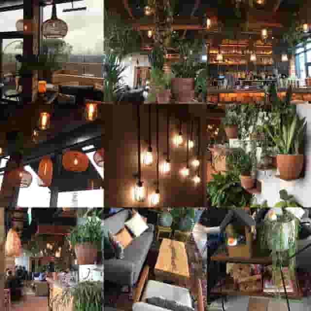 The Nest