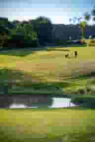 Hampshire