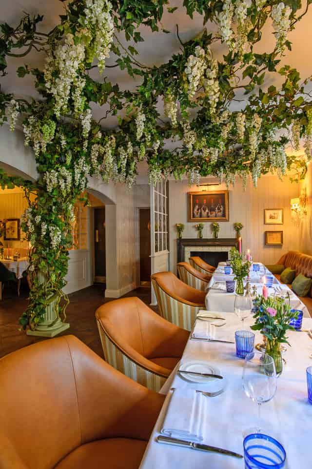 The Vineyard