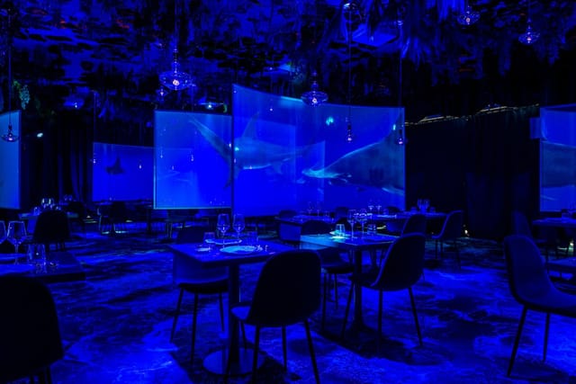 Modern event space in Ephemera with blue lighting, ideal for networking and fine dining.