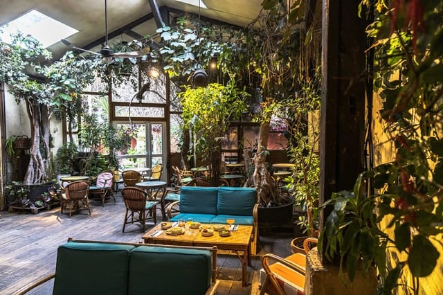 Aquarium Room at Comptoir General: lush greenery for intimate meetings and events.
