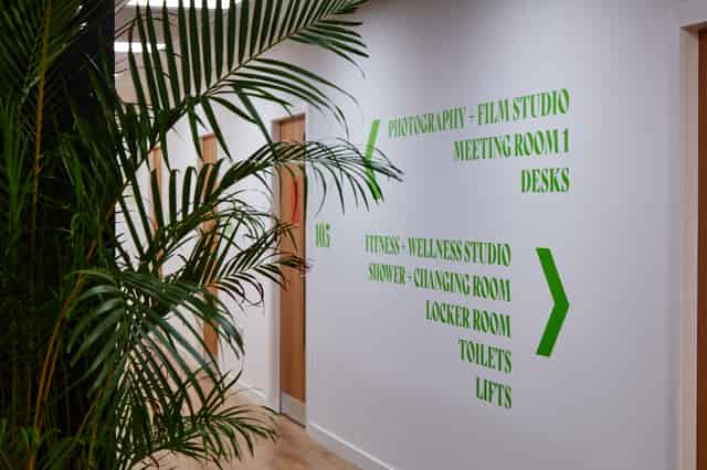 Wellness and Fitness Studio