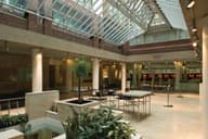 Christmas Party Venues