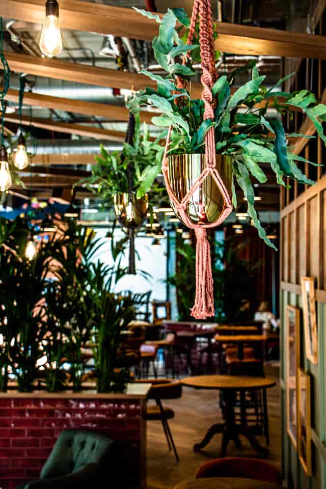Vibrant Outpost venue with lush greenery, ideal for meetings and events.