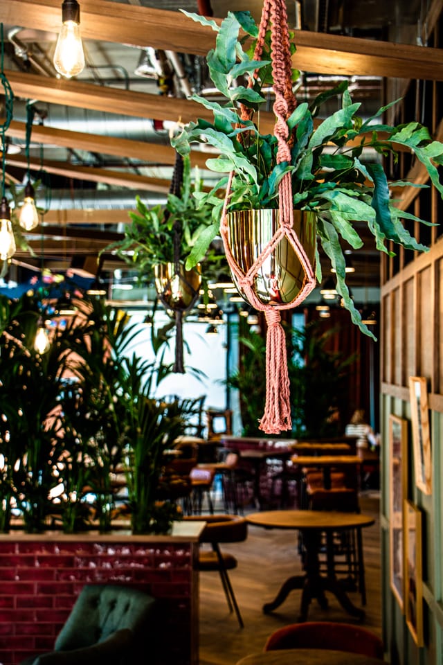 Vibrant Outpost venue with lush greenery, ideal for meetings and events.