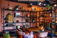 Christmas Party Venues