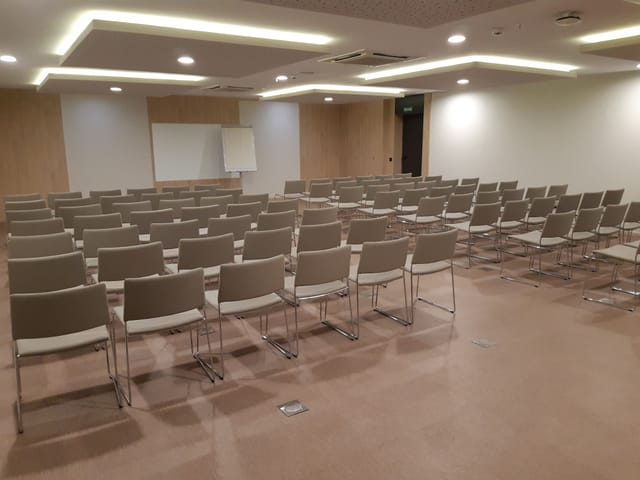 Cibeles meeting room at RIU Plaza España, ideal for workshops and presentations.