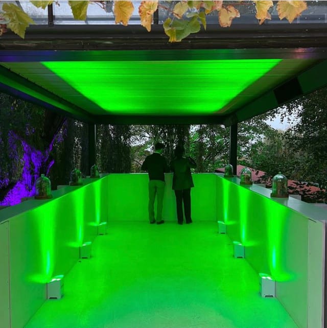 Modern event space with illuminated bar in Omved Gardens, perfect for cocktail receptions.