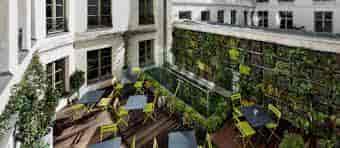 Vibrant outdoor meeting space with yellow chairs and vertical garden for networking events.