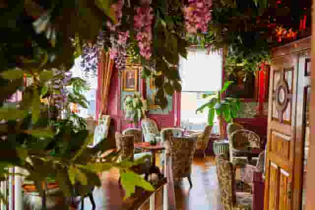 Mr Fogg's Botanical Tavern