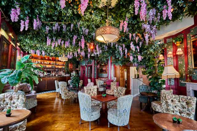 Mr Fogg's House of Botanical