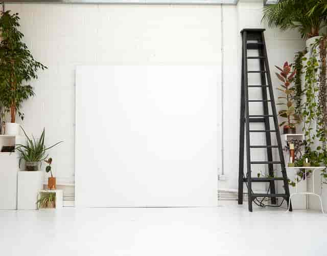 Versatile Peanut Factory Studio with white backdrop and greenery for events and presentations.