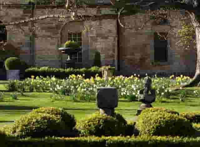 Elegant Garden Lawns