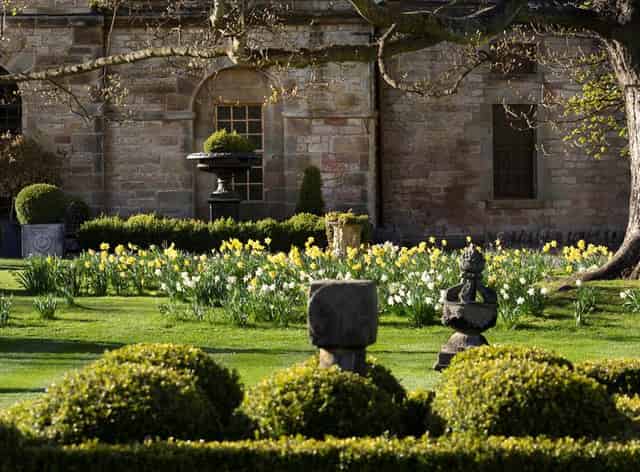 Elegant Garden Lawns