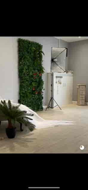 Stylish EVE Studio event space with greenery wall, perfect for meetings or celebrations.