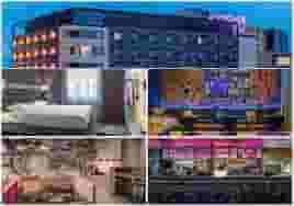 Moxy Hotels