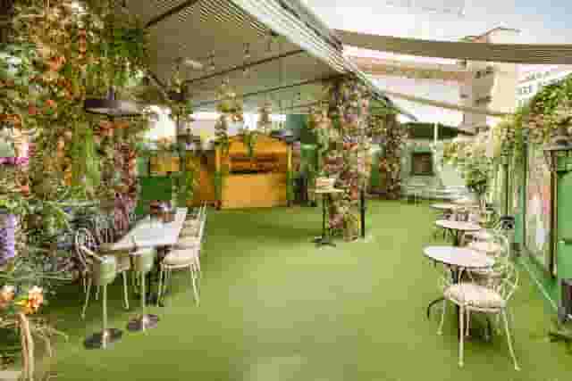 Mr Fogg's Secret Garden