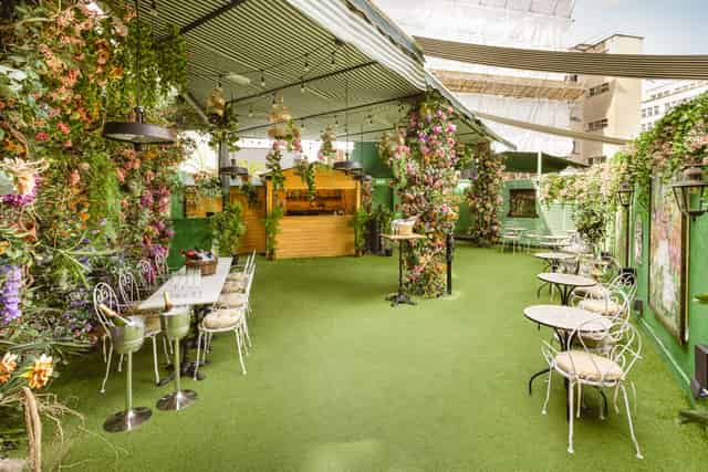 Mr Fogg's Secret Garden