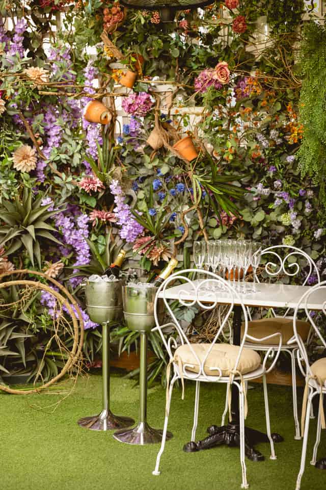 Mr Fogg's Secret Garden