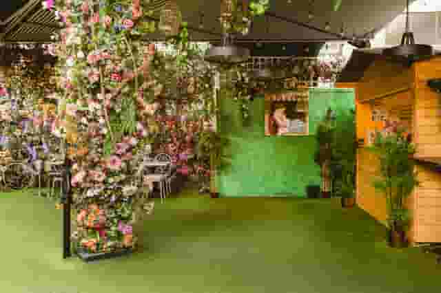 Mr Fogg's Secret Garden