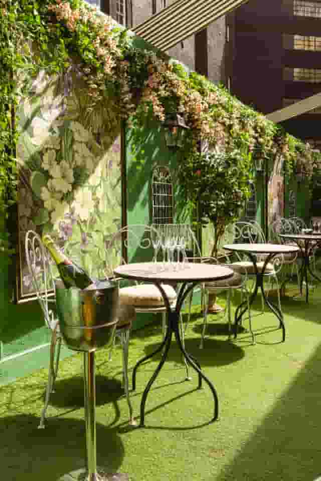 Mr Fogg's Secret Garden