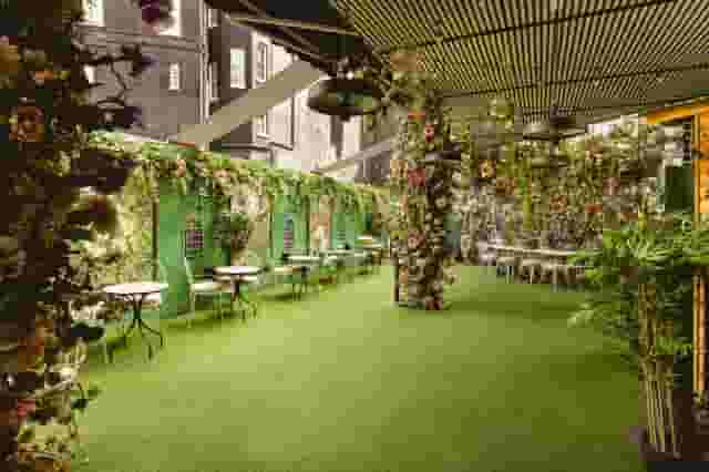 Mr Fogg's Secret Garden