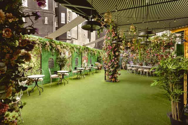 Mr Fogg's Secret Garden