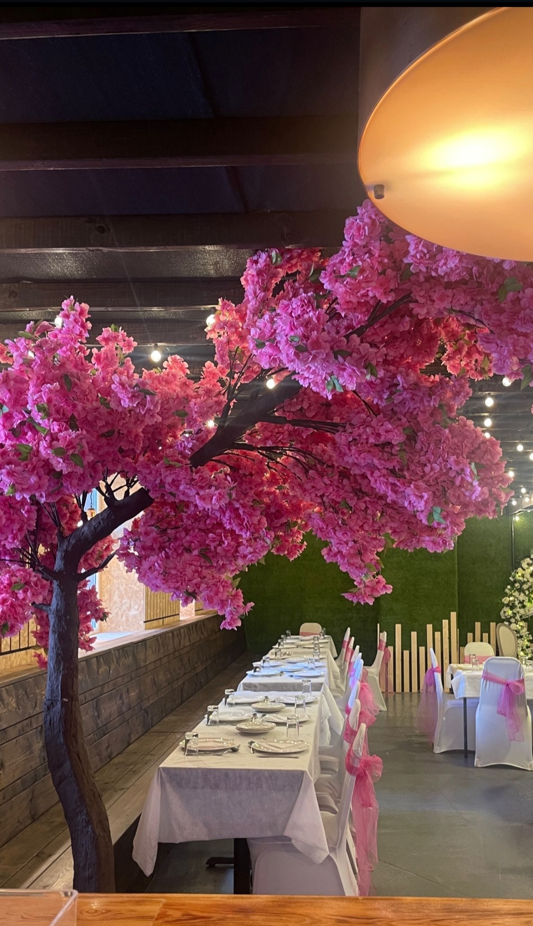 Vibrant cherry blossom tree in Basement diner, perfect for events and celebrations.