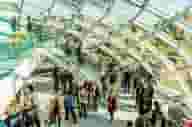 Wembley