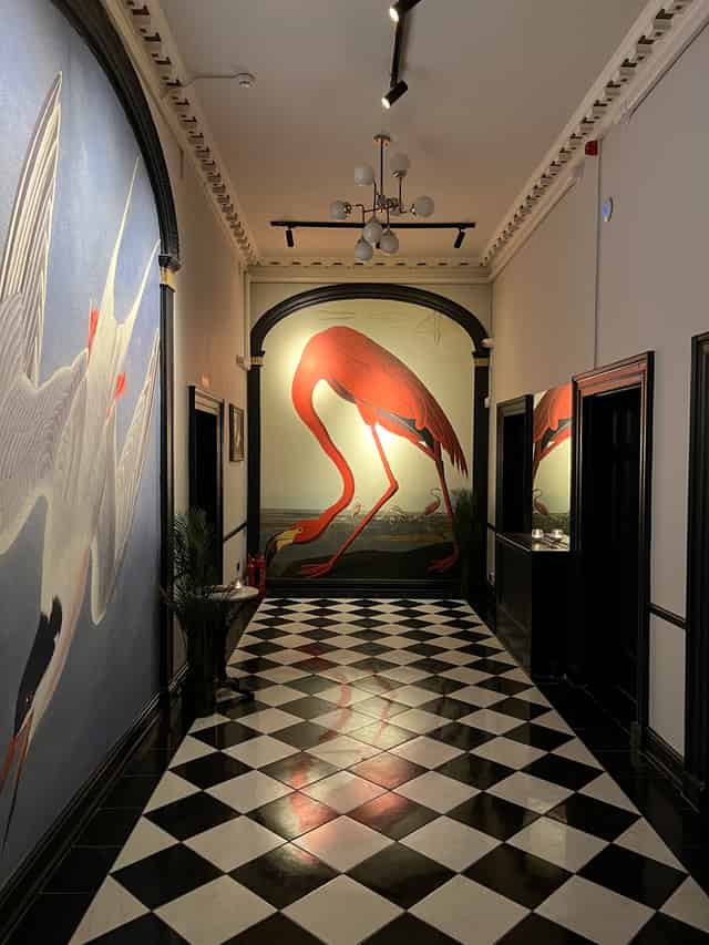 Royal Institution Bar