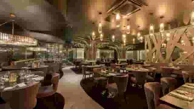 Birmingham (Gaucho)