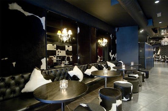 Stylish event space in Hampstead with sleek decor, ideal for networking and gatherings.