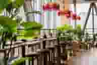 Networking Venues
