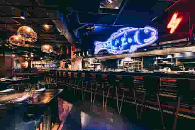 Miro Mayfair