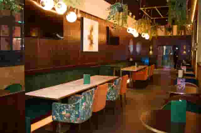 Newton's Bar
