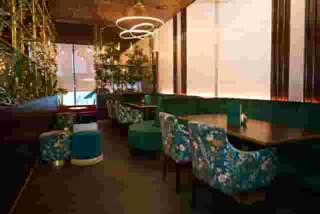 Newton's Bar