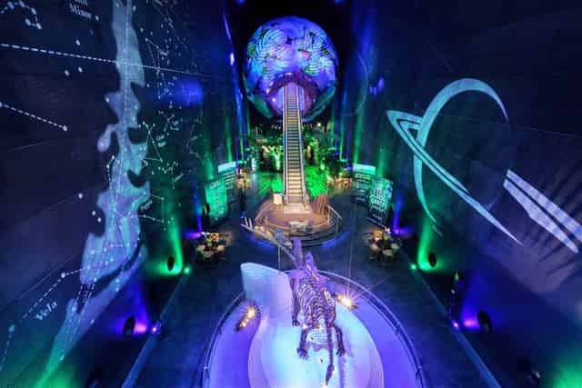 Natural History Museum (London)