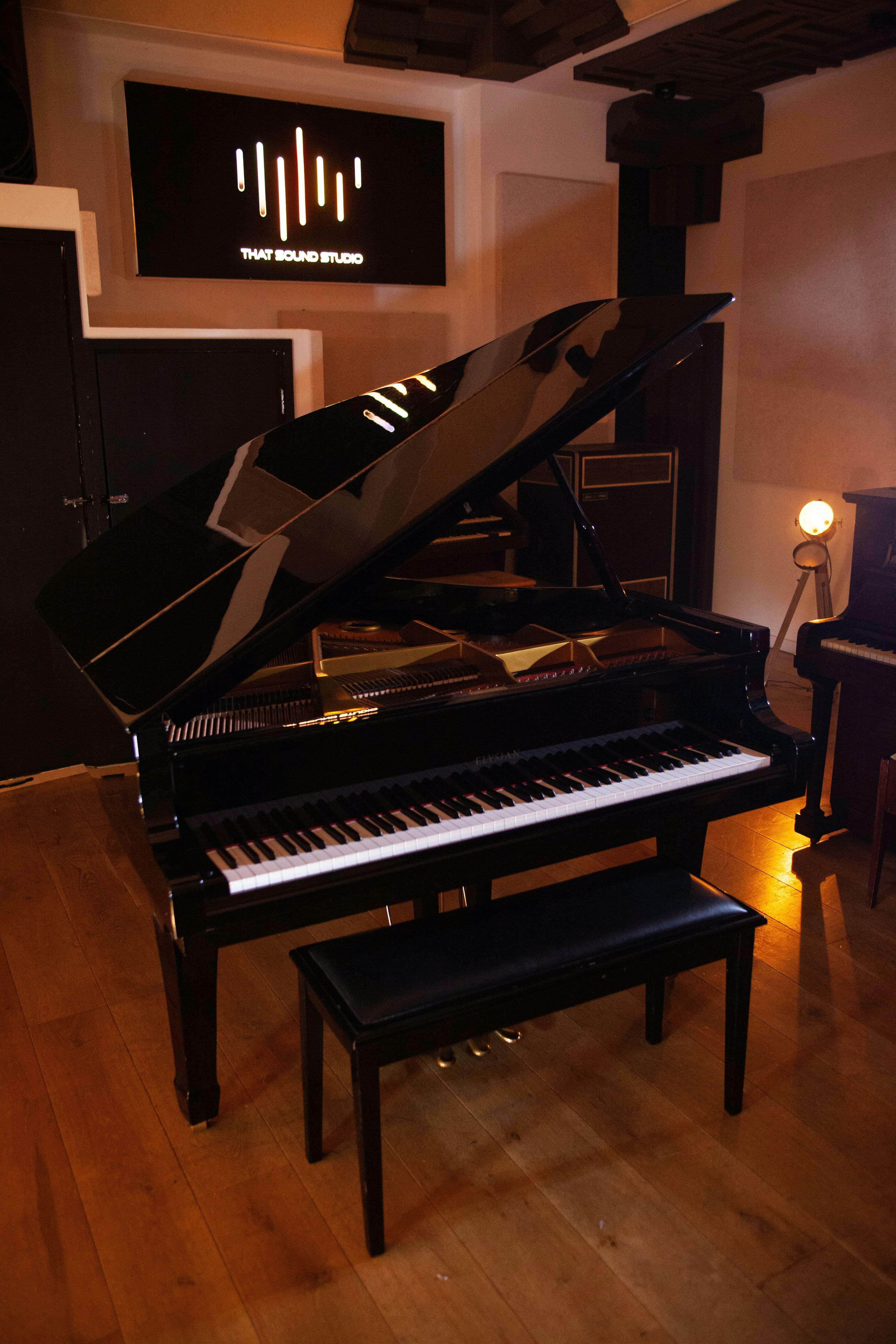Sleek black grand piano in That Sound Studio for live music events and gatherings.