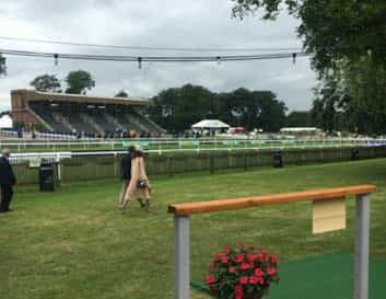Newmarket Racecourse outdoor venue with lush grass, ideal for corporate events and gatherings.