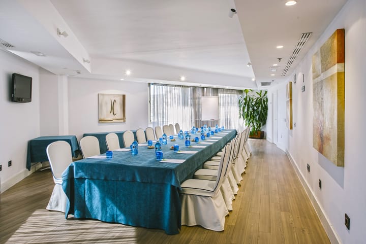 Hotel Princesa Plaza Madrid