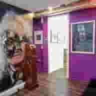 Galleries