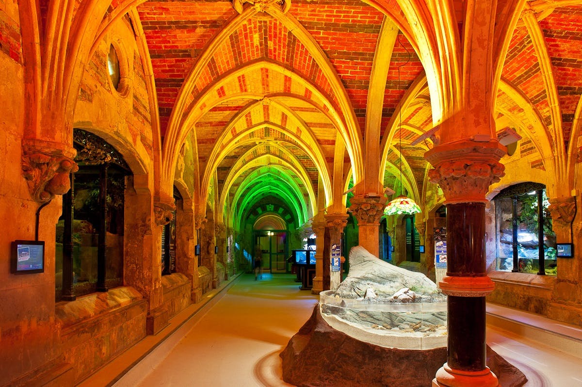 Whole Venue at SEA LIFE Brighton Aquarium with vaulted ceilings, ideal for upscale events.
